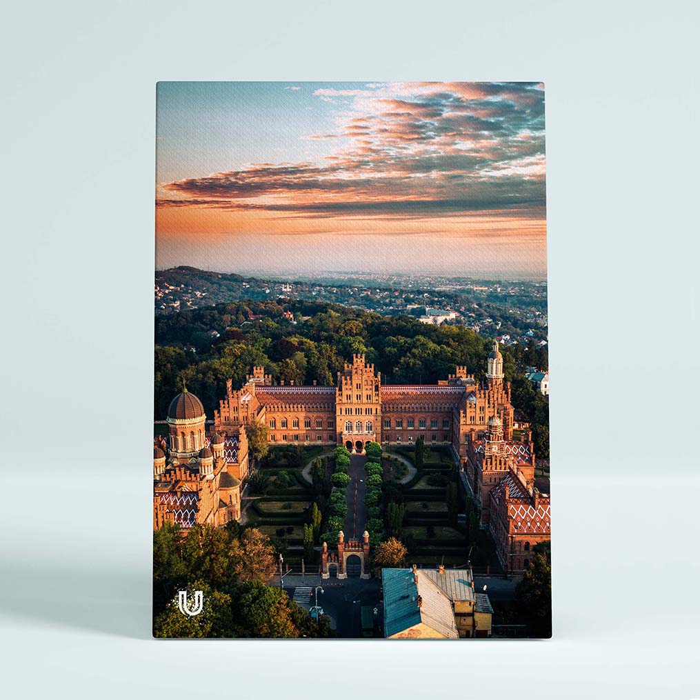 Картина Chernivtsi AR