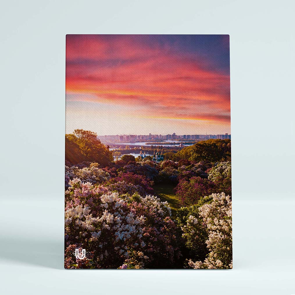 Картина Park AR