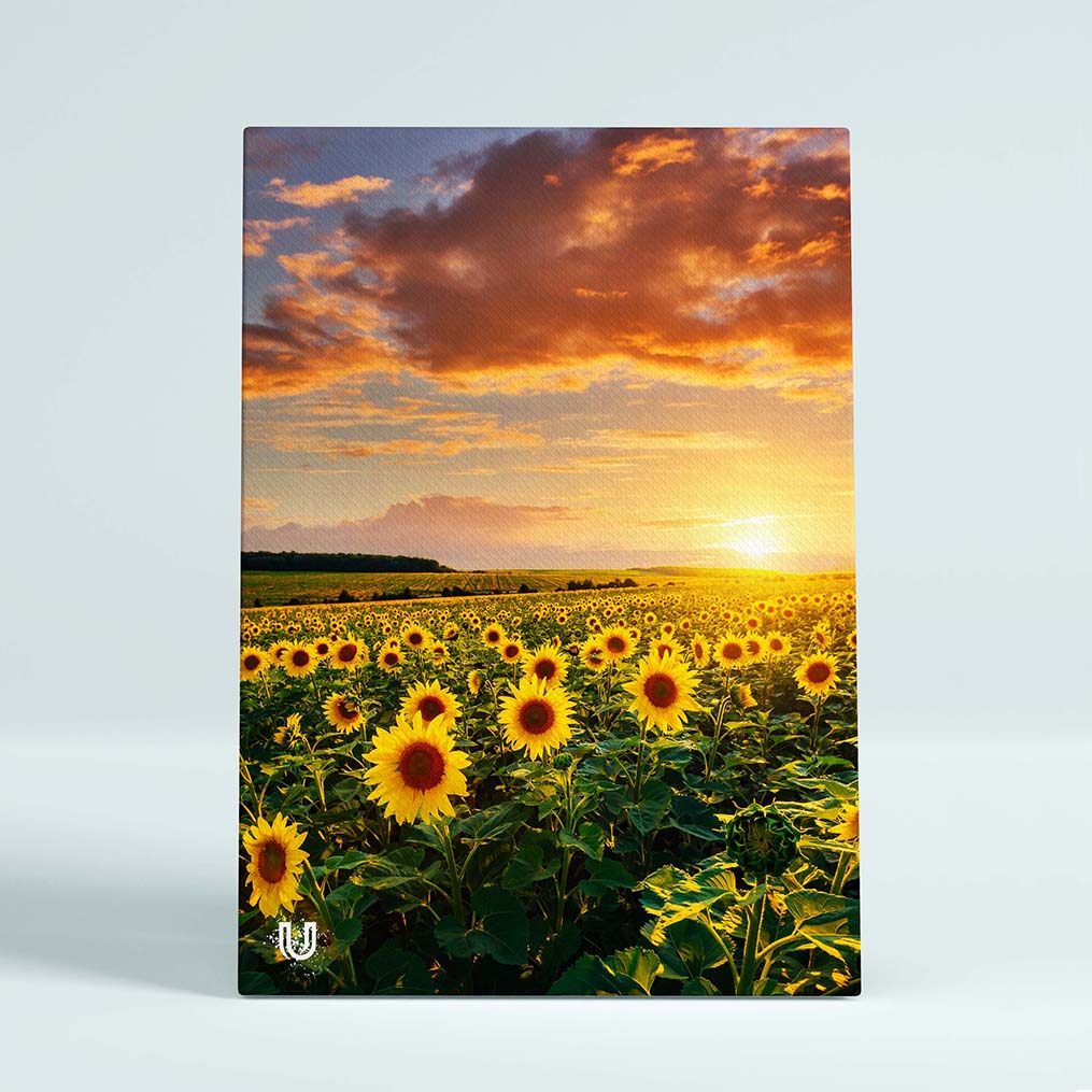 Картина Sunflowers AR