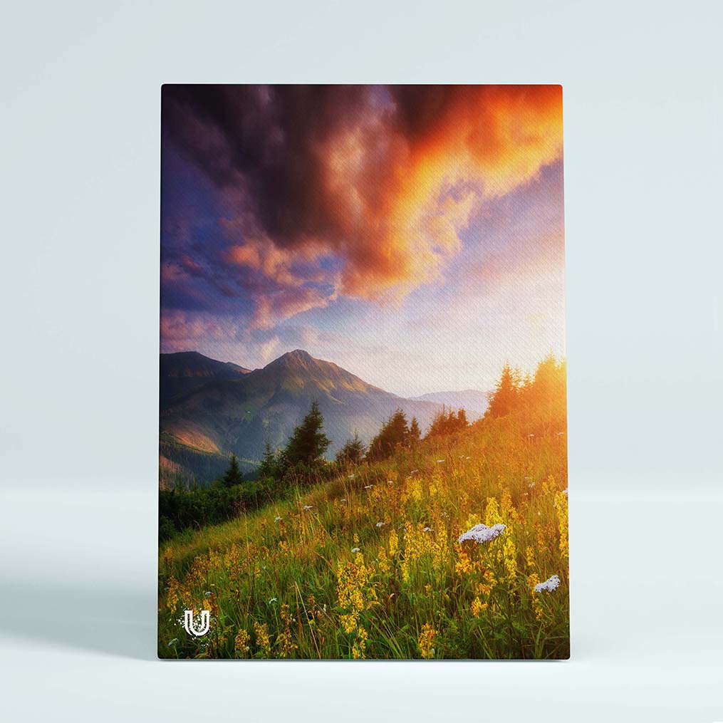 Картина Carpathians AR