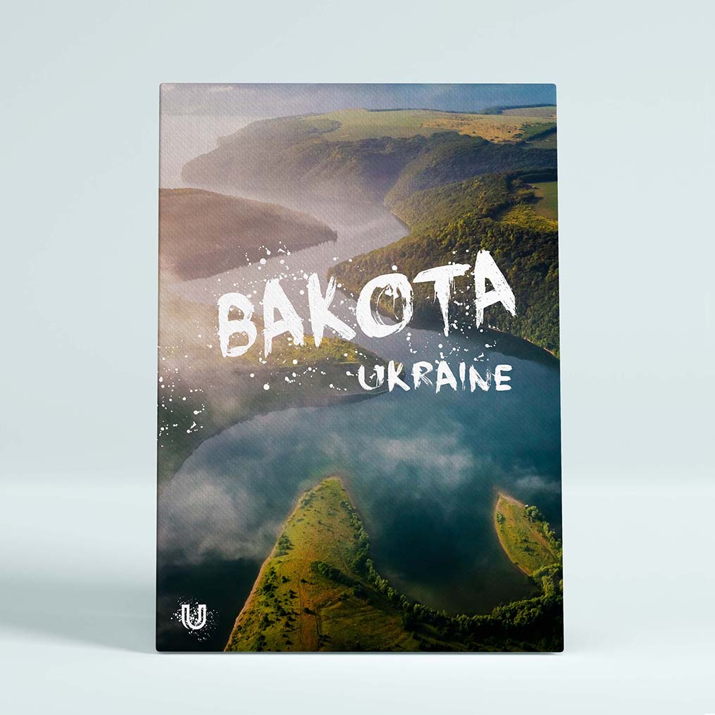 Картина Bakota AR