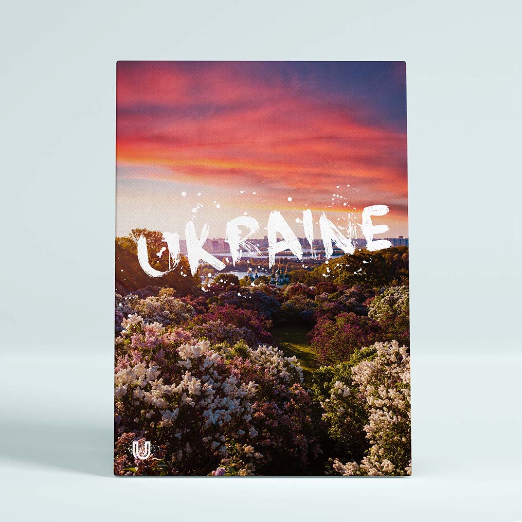 Картина Park AR