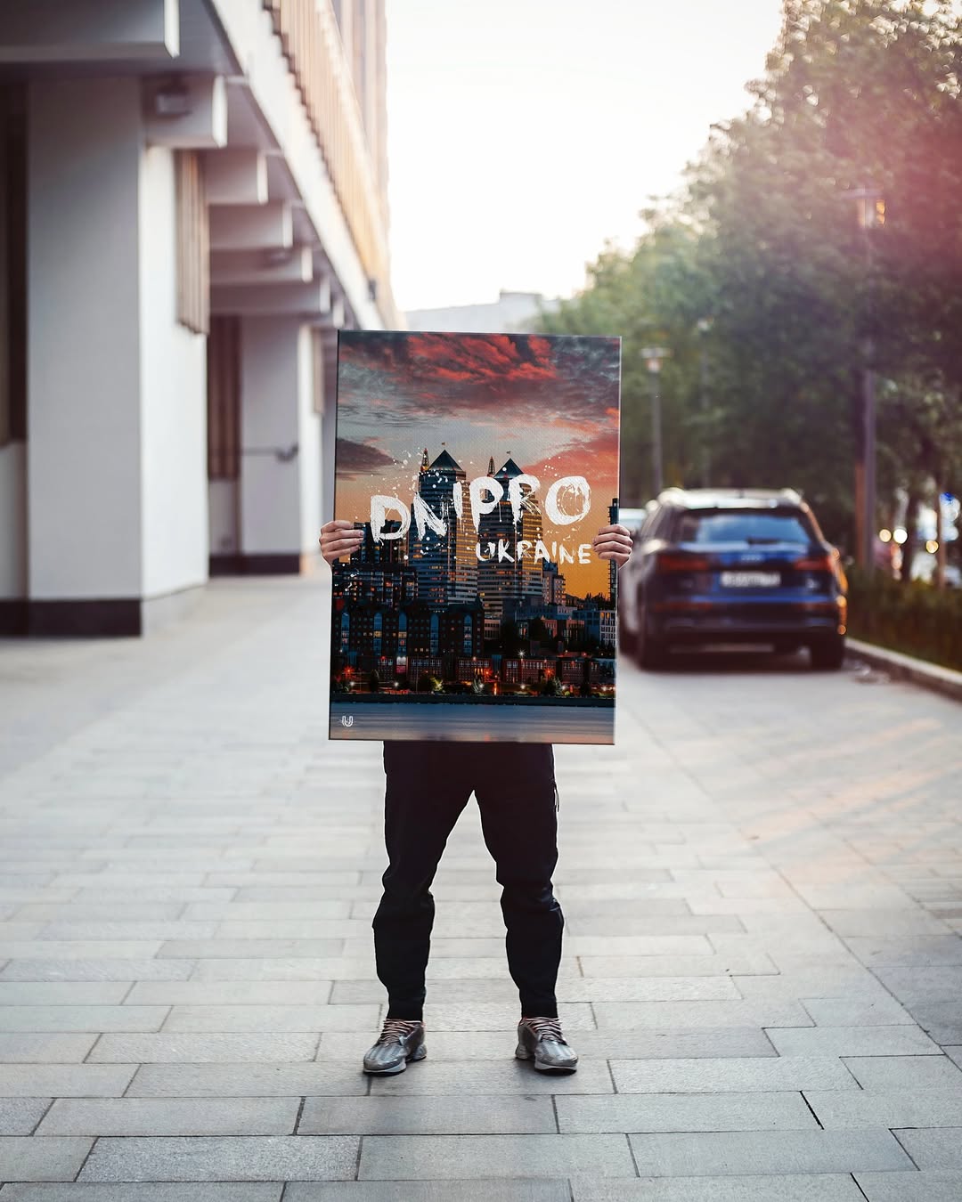 Картина Dnipro AR