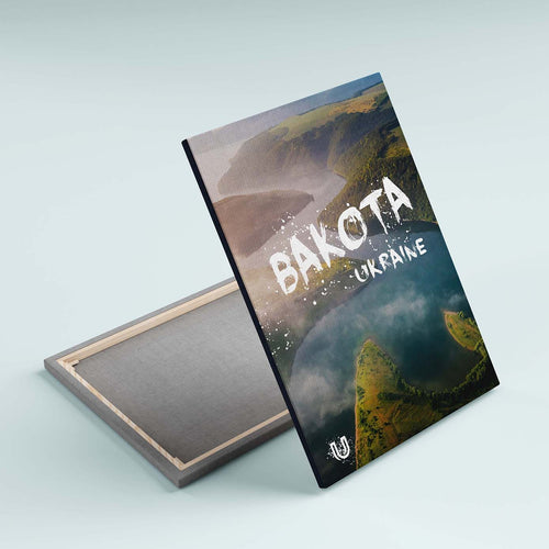 Картина Bakota AR